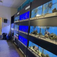 Petco ico
