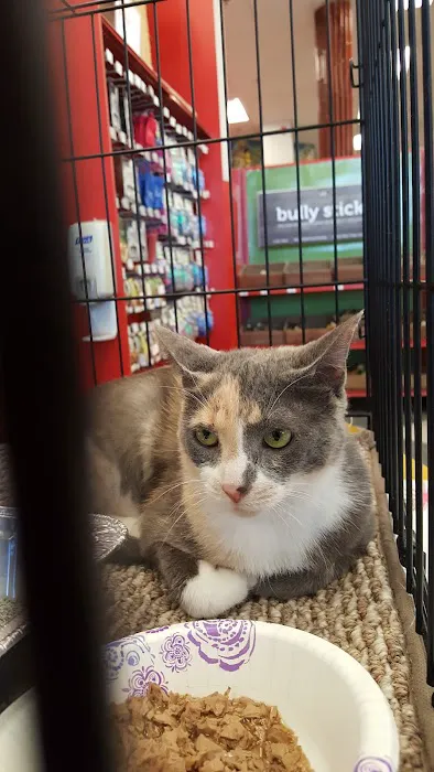 Petco Picture 9