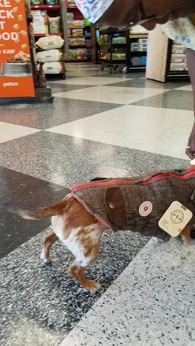 Petco Picture 10