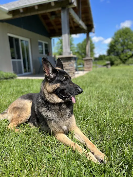 North Country Veterinary Services Picture 7
