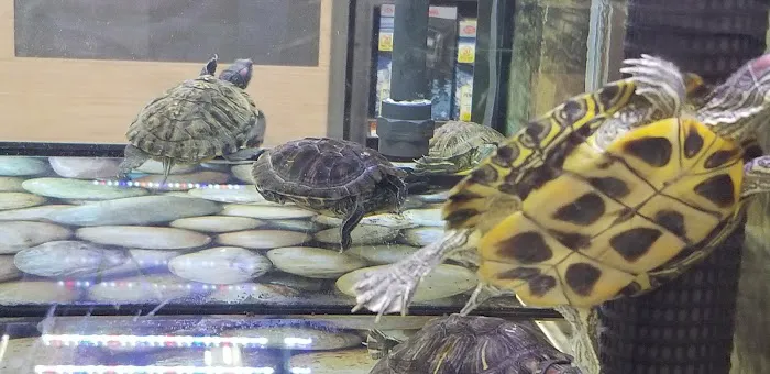 Petco Picture 6