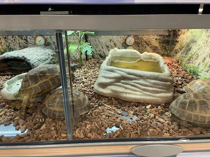 Petco Picture 10