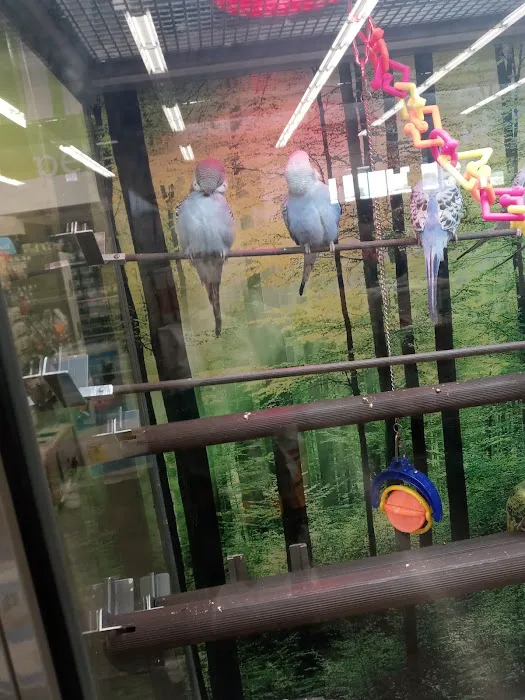 Petco Picture 1