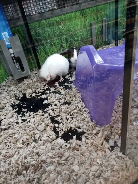 Petco Picture 3