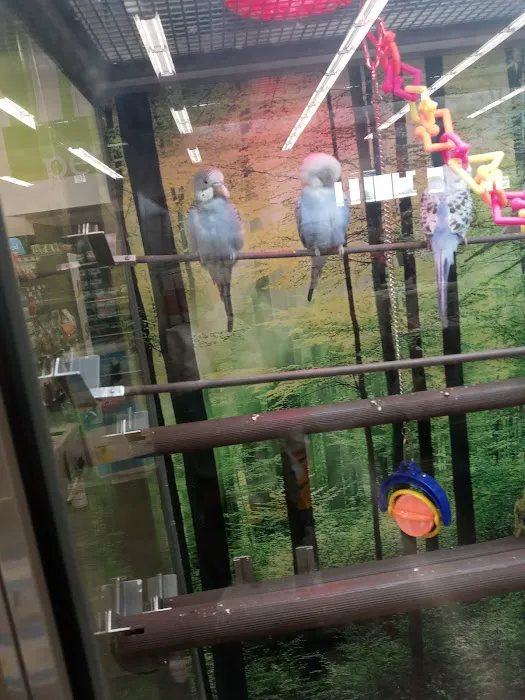 Petco Picture 4