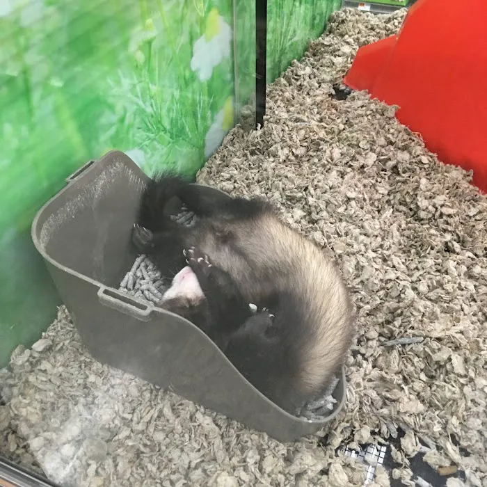 Petco Picture 9
