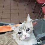 Fruit Valley Veterinary Clinic