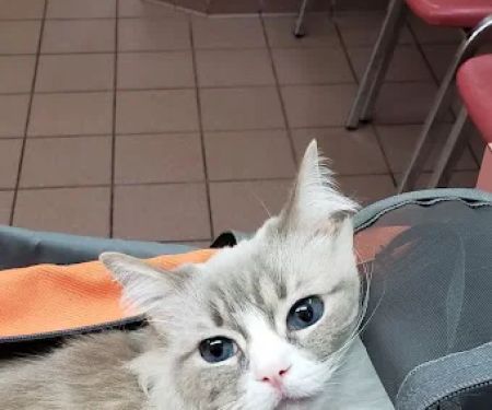Fruit Valley Veterinary Clinic