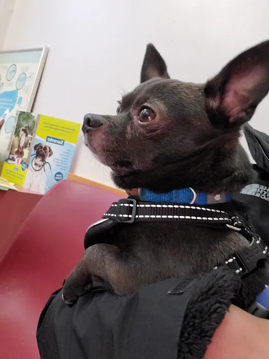 Fruit Valley Veterinary Clinic Picture 5