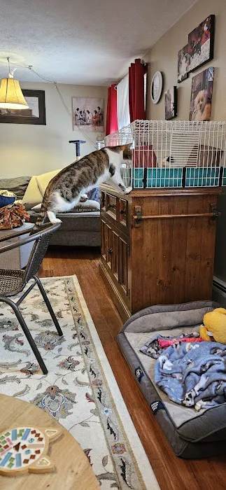 Fruit Valley Veterinary Clinic Picture 4
