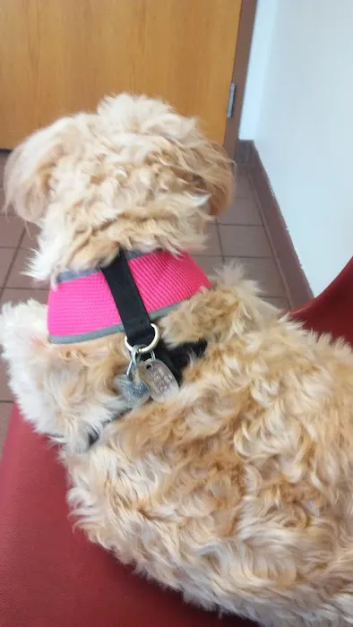 Fruit Valley Veterinary Clinic Picture 2