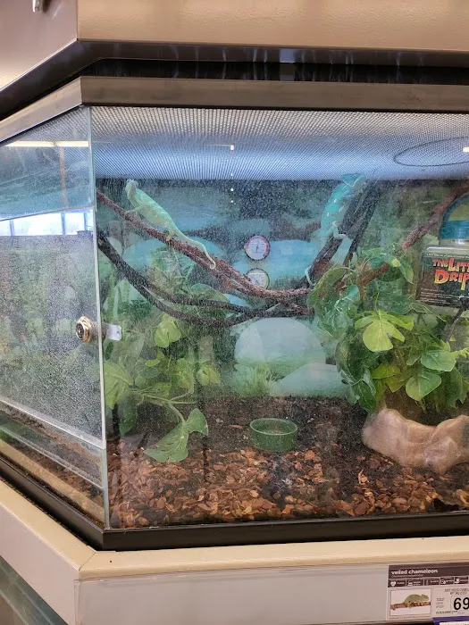 Petco Picture 6