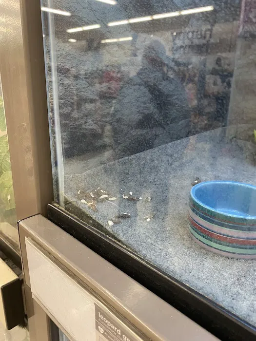 Petco Picture 1