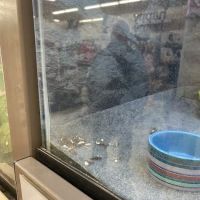 Petco ico