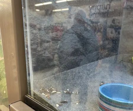 Petco