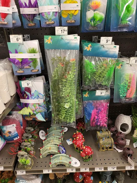 Petco Picture 5
