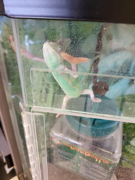 Petco Picture 3