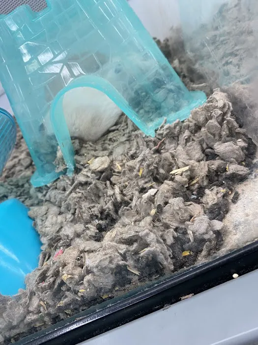 Petco Picture 2