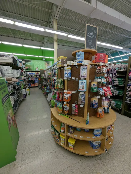 Petco Picture 9