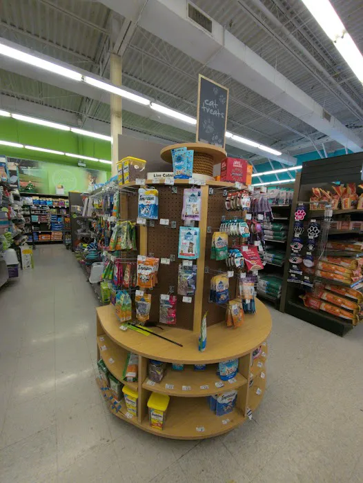 Petco Picture 8