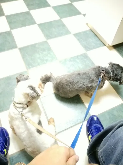 Mexico Veterinary Hospital Picture 3
