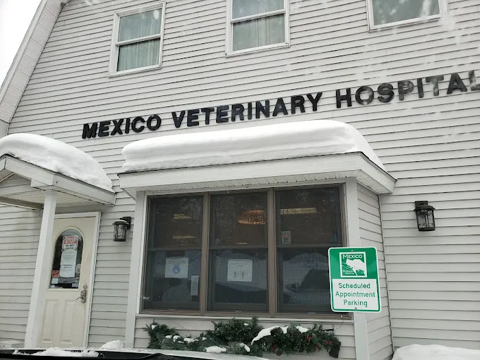 Mexico Veterinary Hospital Picture 8