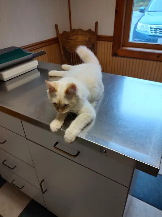 Mexico Veterinary Hospital Picture 10