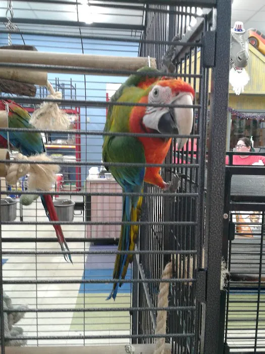 Animal Krackers Pet Center Picture 2
