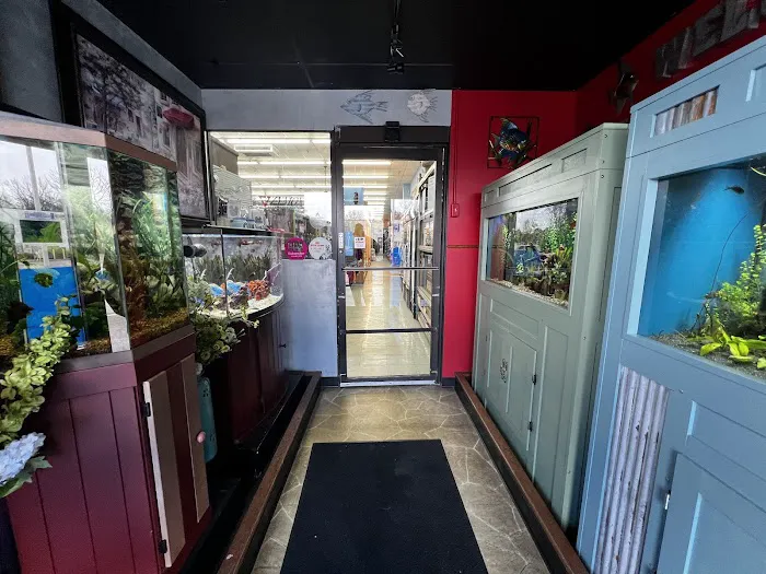 Animal Krackers Pet Center Picture 1
