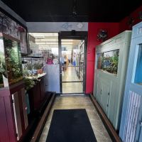 Animal Krackers Pet Center ico