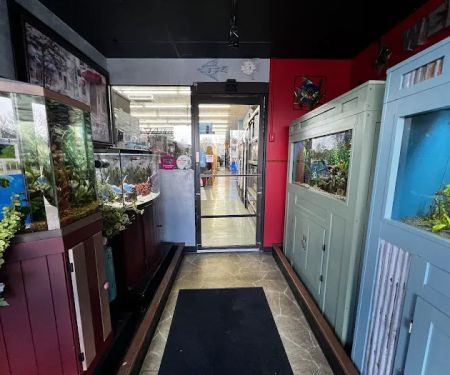 Animal Krackers Pet Center