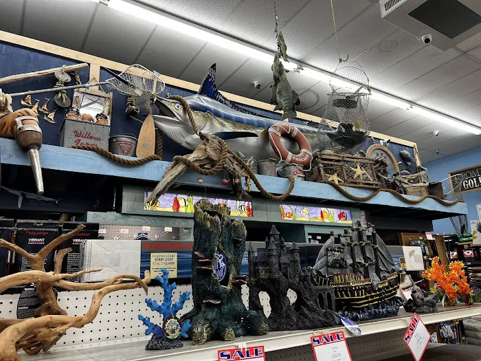 Animal Krackers Pet Center Picture 5