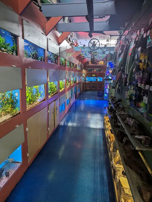 Animal Krackers Pet Center Picture 8
