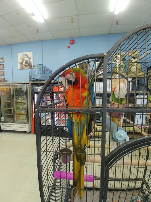 Animal Krackers Pet Center Picture 10