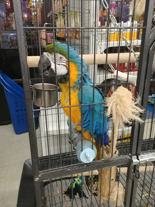 Animal Krackers Pet Center Picture 7