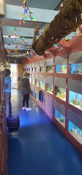 Animal Krackers Pet Center Picture 3