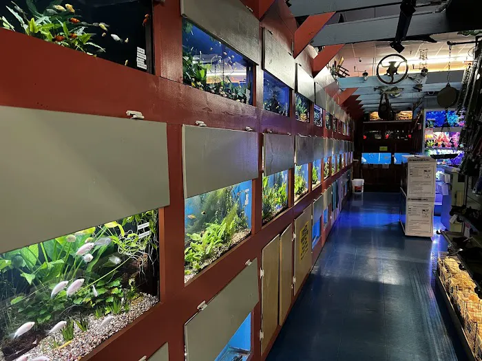 Animal Krackers Pet Center Picture 6