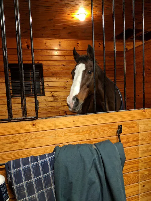 Upstate Equine Medical Center Picture 1