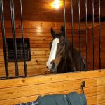 Upstate Equine Medical Center