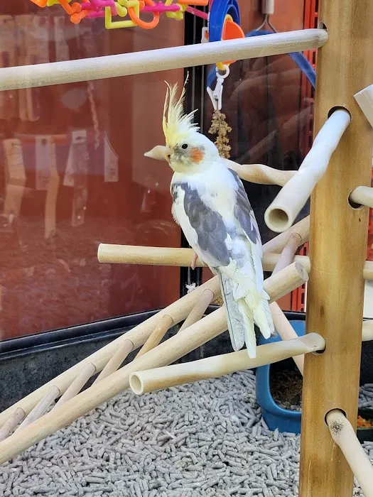 Petco Picture 9