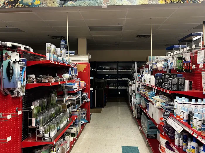 Petco Picture 3
