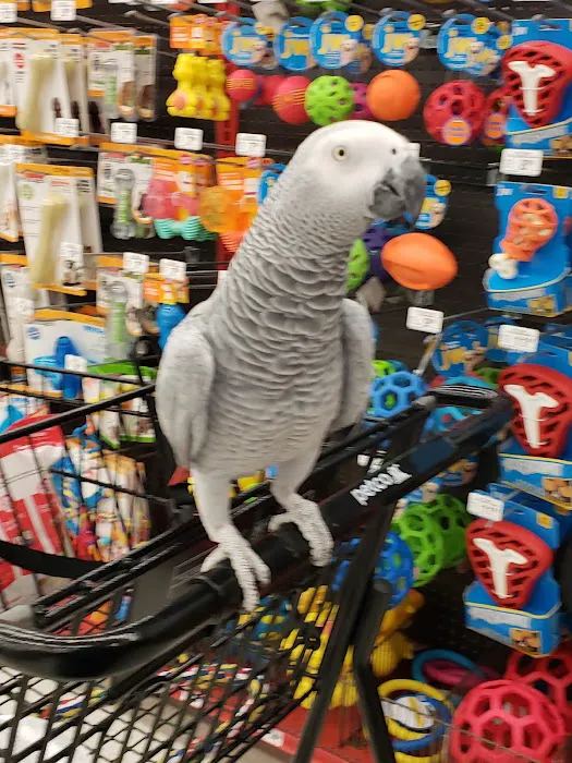 Petco Picture 10