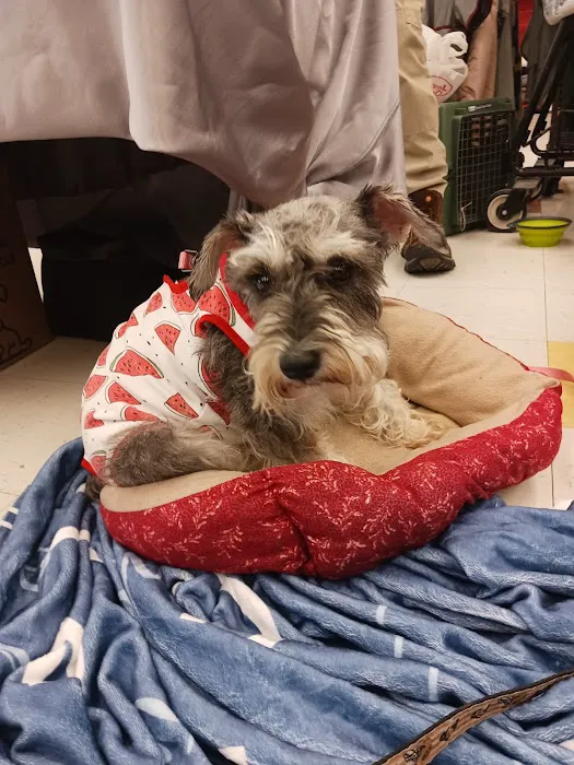 Petco Picture 6