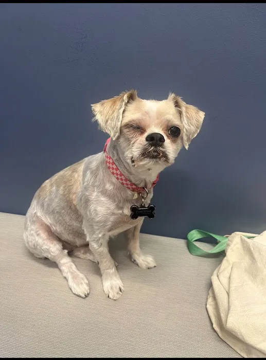 7 Seas Pet Care Center Picture 10