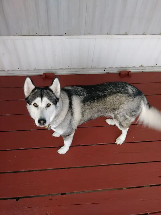 7 Seas Pet Care Center Picture 7