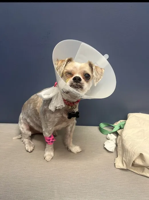 7 Seas Pet Care Center Picture 9