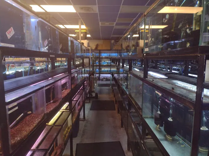 Animal Island Pet Shop Picture 2