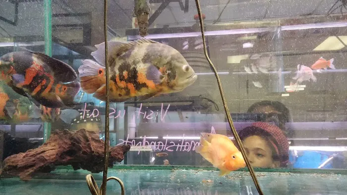 Animal Island Pet Shop Picture 9