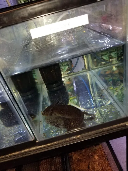 Animal Island Pet Shop Picture 10