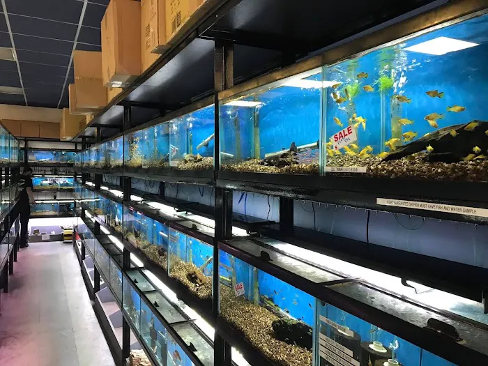 Animal Island Pet Shop Picture 5